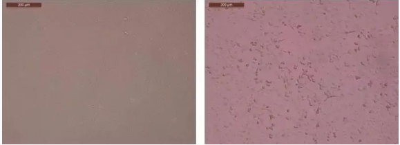 33169d95b5084e988930e3eeecafa2c4.png image.png