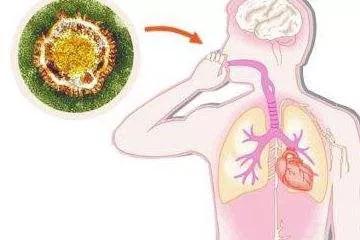 aa3398956661489688f65dcfd1f7b0ea.jpg 3.jpg