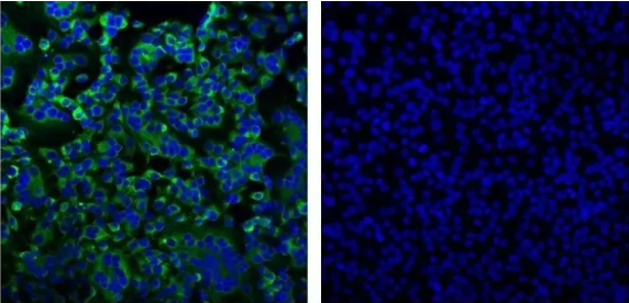 ca44cef336254df19f19e7c5d16916b0.png image.png