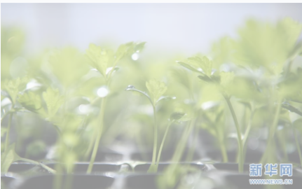 b0302d5172c84d06b59f87534225456b.png image.png