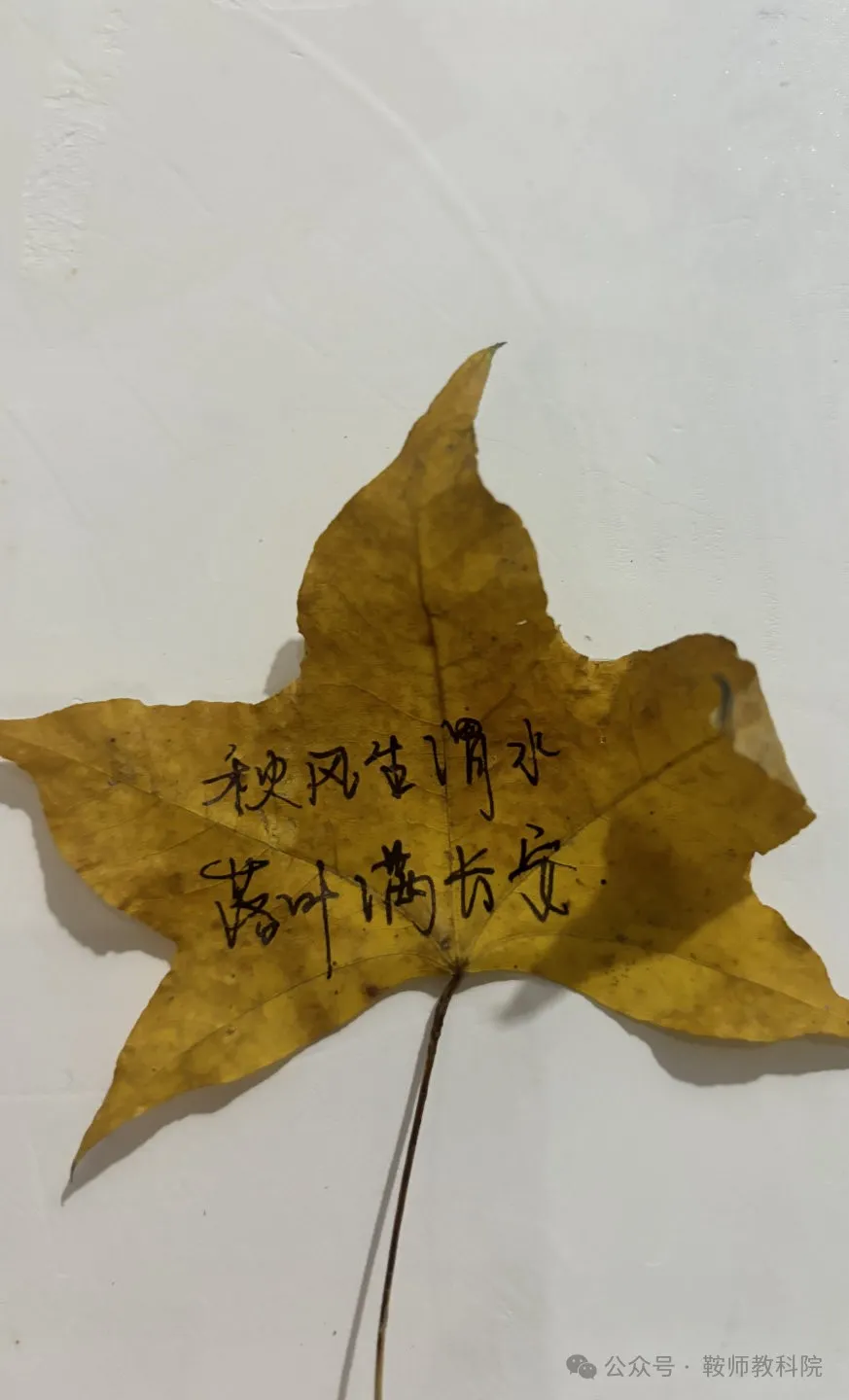 54b88ebba235490db32a89557e7cb3a5.png 图片7.png