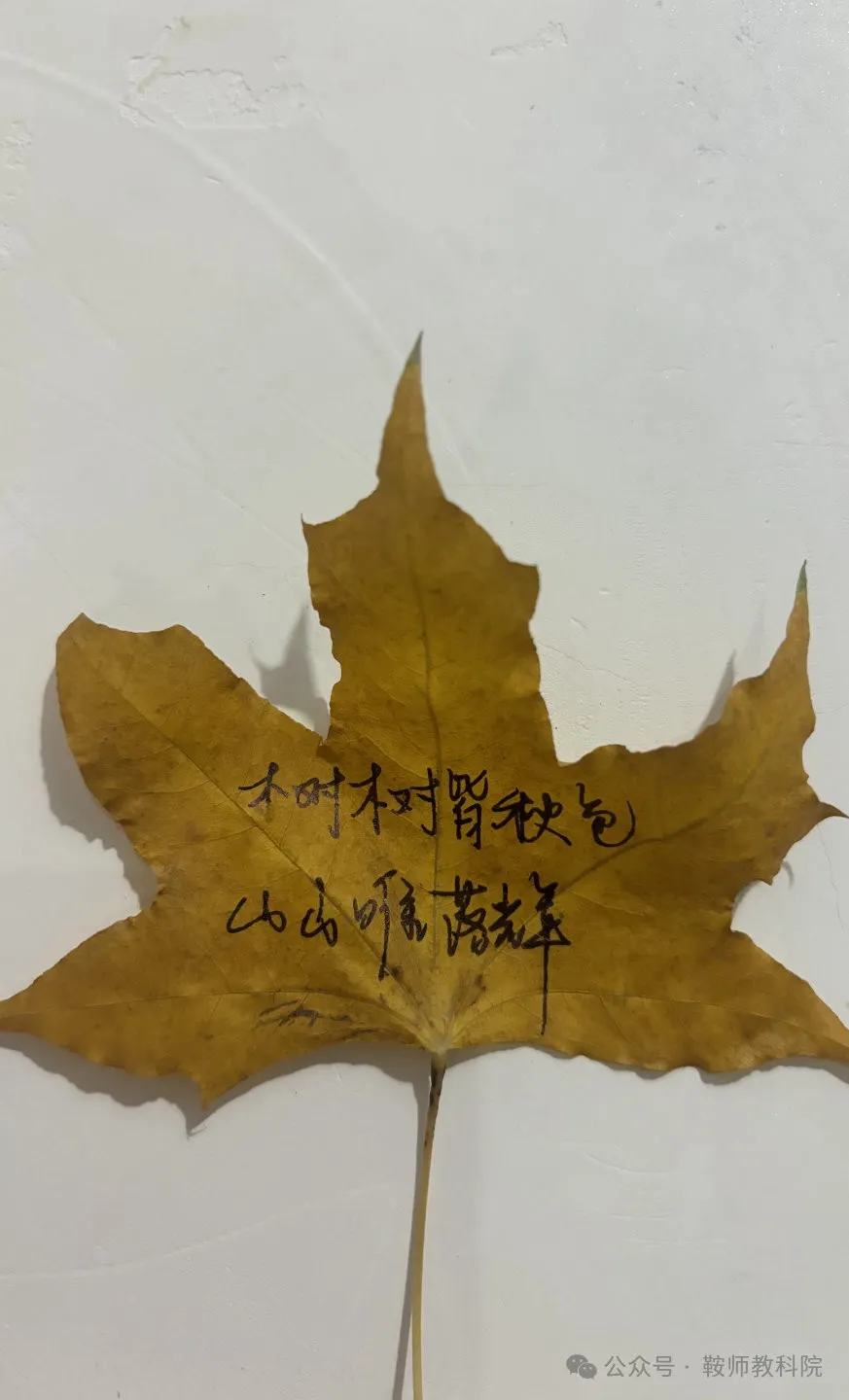 5755f71ddbc748d0b4895f6a0ad1fe80.png 图片9.png