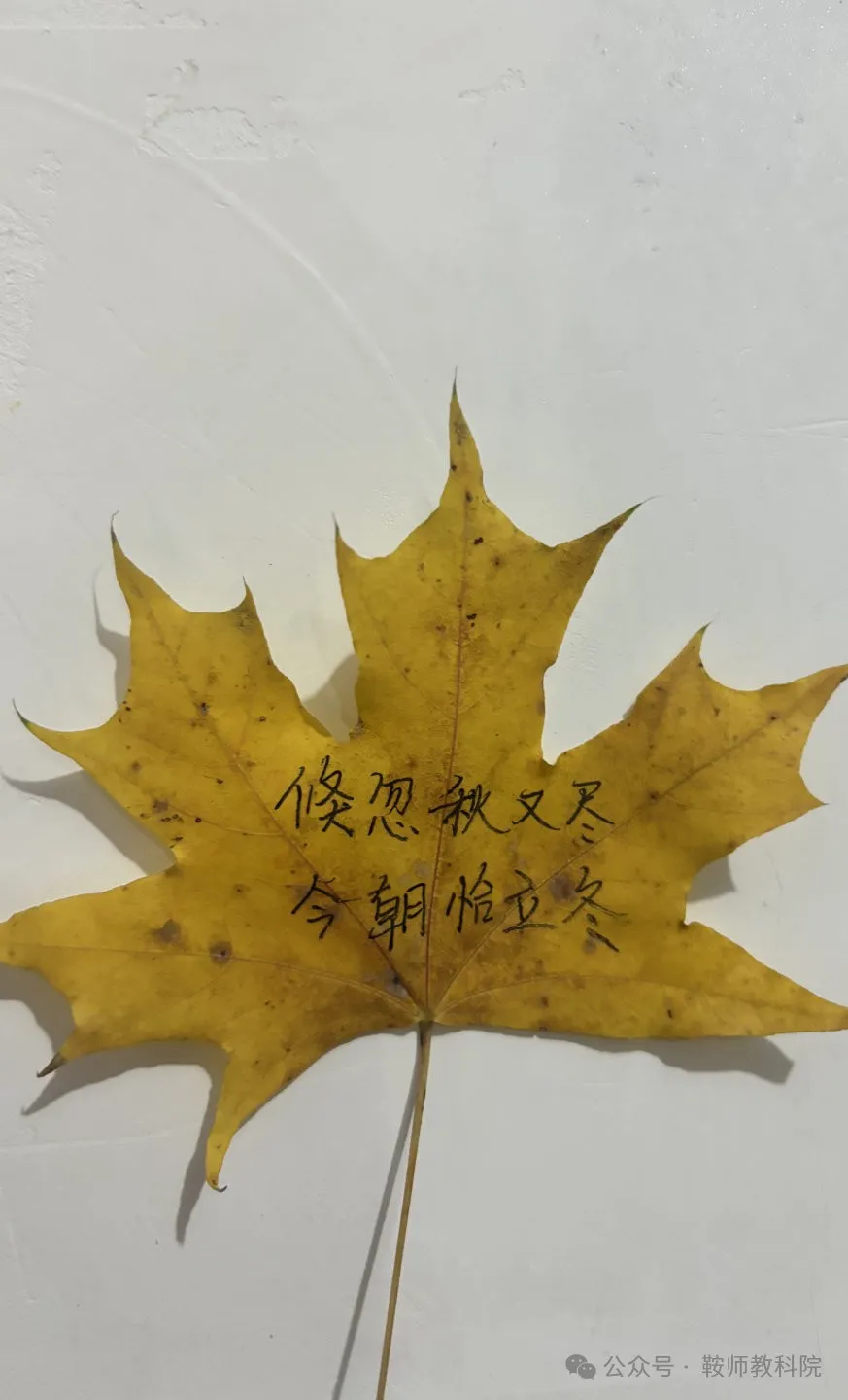 7dfffbfa686c440d9f30649340e39168.png 图片8.png